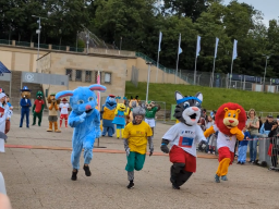 Deutsches Turnfest
